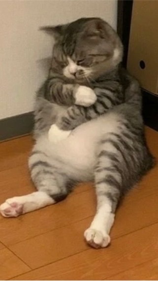 龍オン絆会
