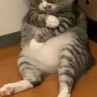 龍オン絆会