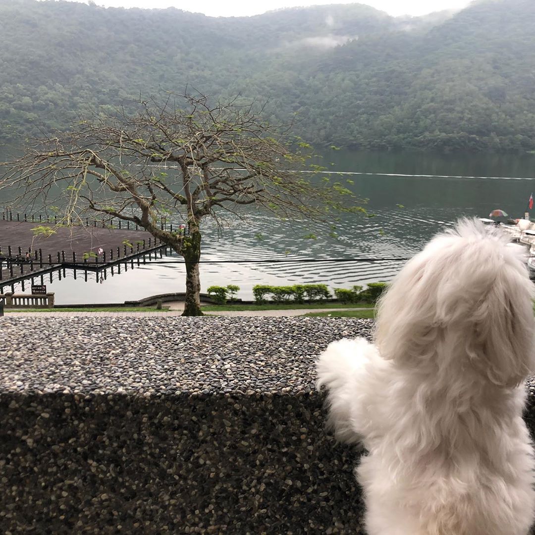 湖畔46 @ivyyeh0401