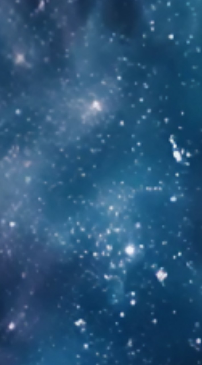 見　つ　け　た　。