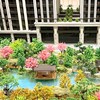 世界花園#免費#「招租」「代管」
