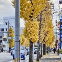 Follow咪🐾Miruku連線代購社群🍀