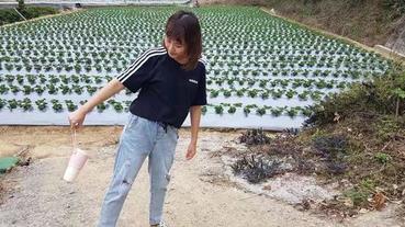 網路購物【FUNGOODY】發現好物 精挑細選優質產品~種類齊全！美好生活～義大利 ALL JOINT 鮮榨果汁杯，現榨現飲，健康隨行