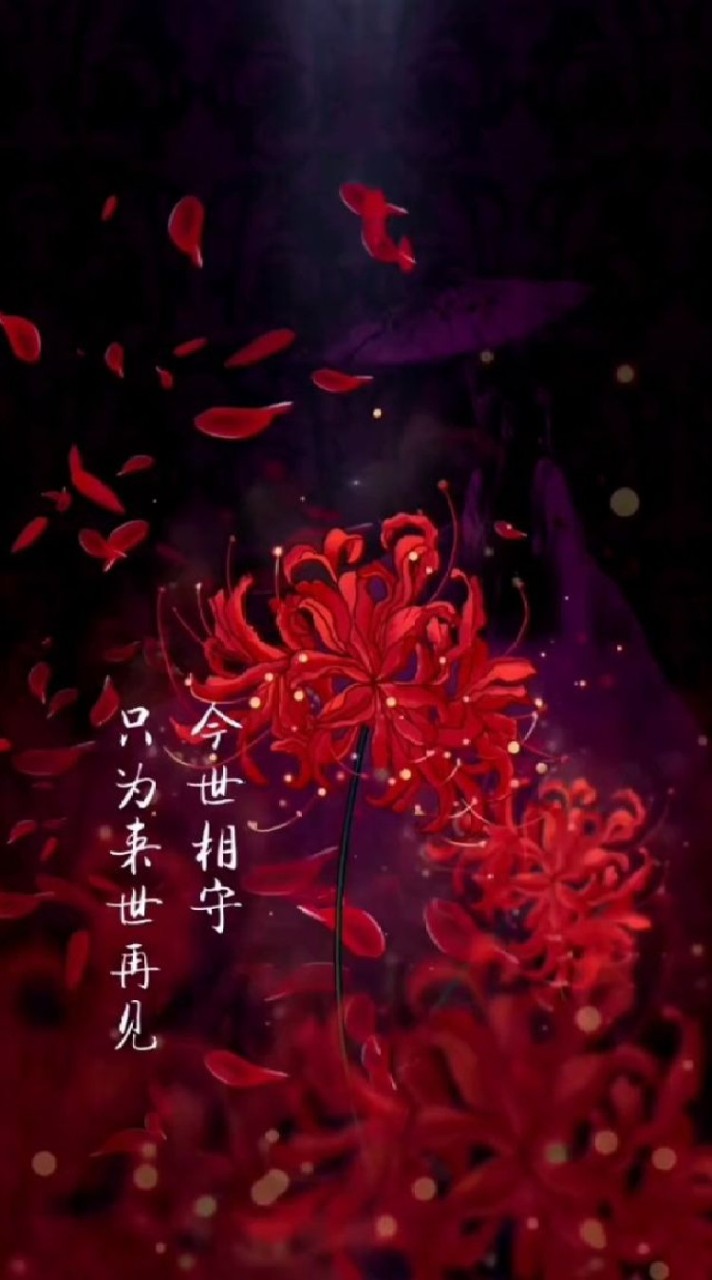 暗月夜如霜，許你一世繁華