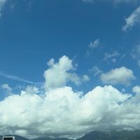 全国車好き同好会