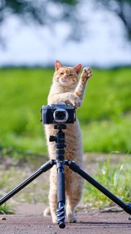 มี๊นุ่นชอบถ่ายรูป ~