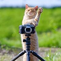 มี๊นุ่นชอบถ่ายรูป ~