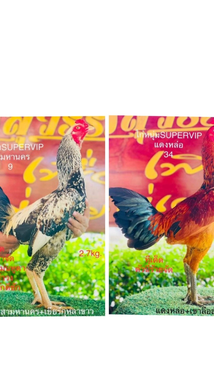 ซุ้ม ส. เจริญ
