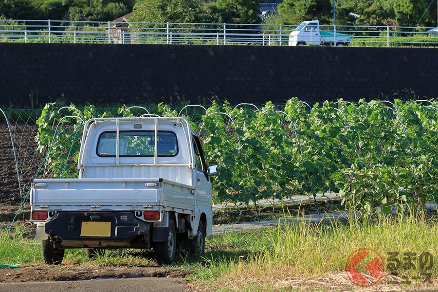 なぜ車好きから熱視線 軽トラ が楽しいといわれる訳