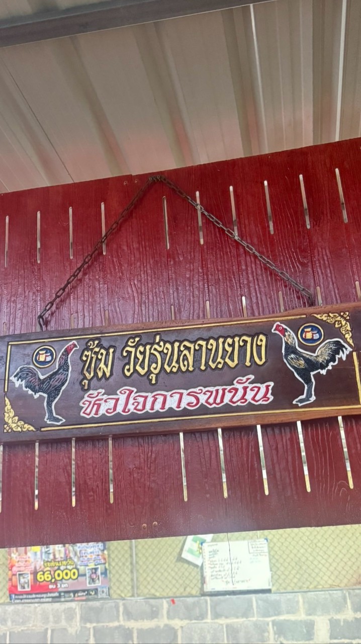 วัยรุ่นลานยางฟาร์ม 1