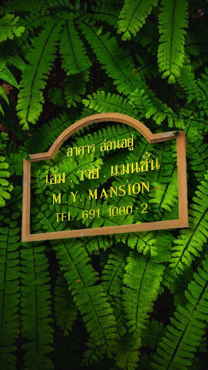 ทะเบียนรถยนต์ M.Y MANSION