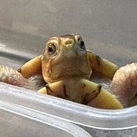 爬蟲飼養交流群