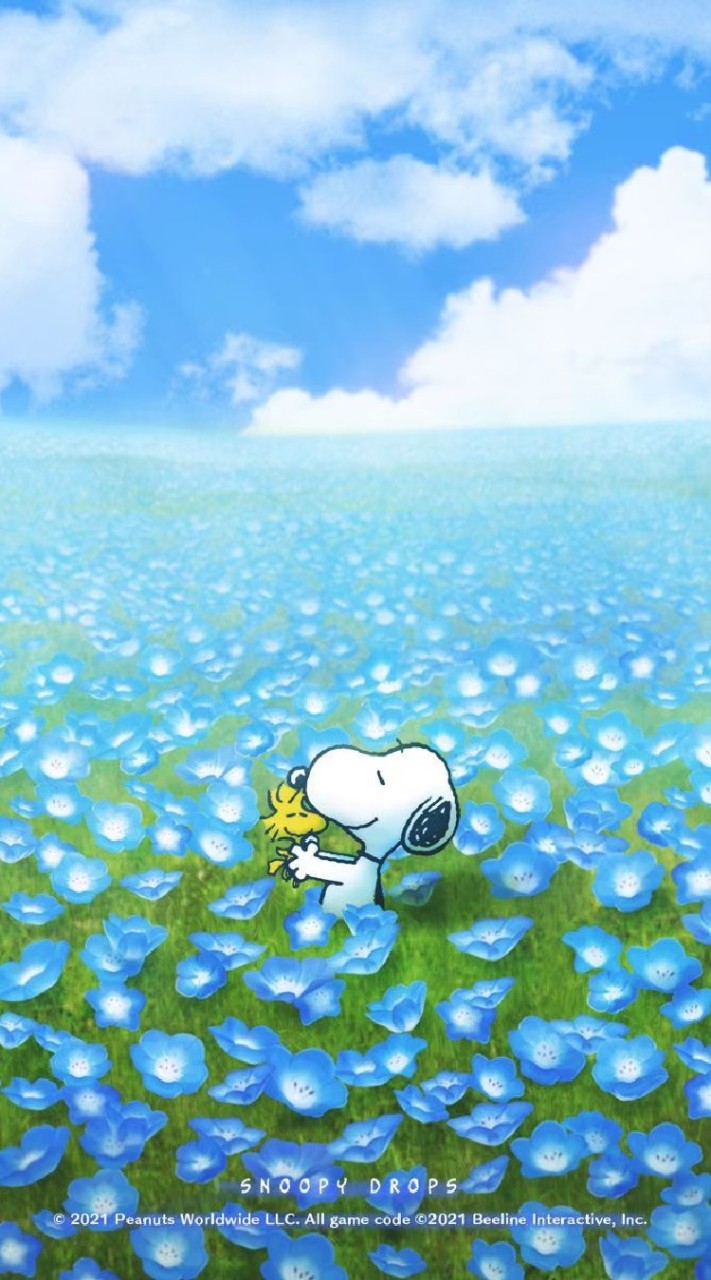 ♥心想事成，相信未來。(◍•ᴗ•◍)❤