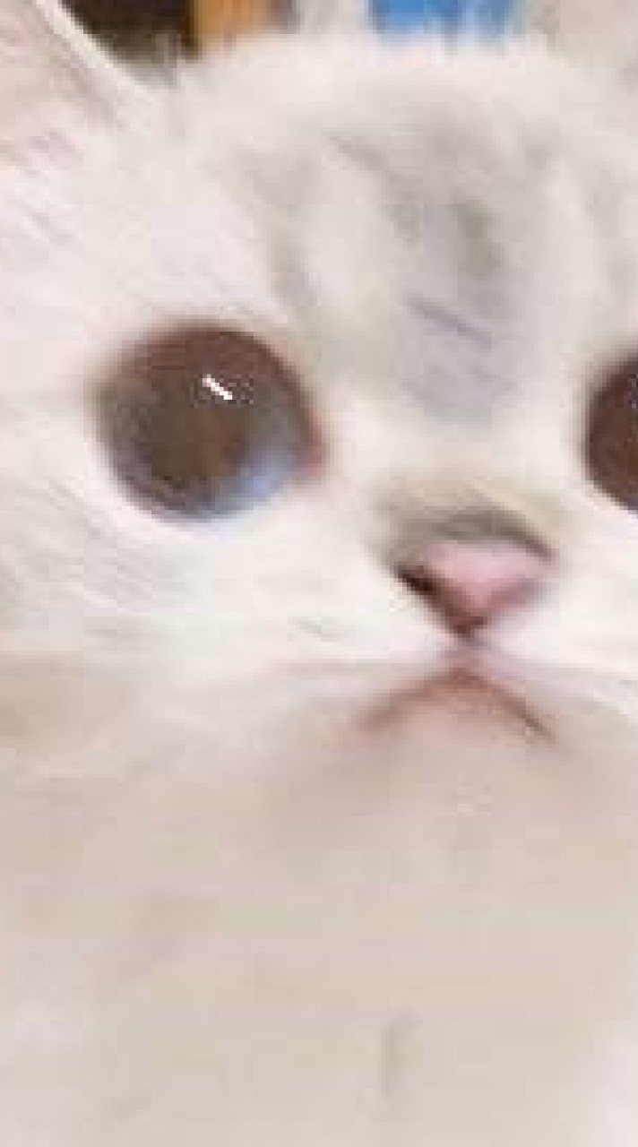 ครอบครัว