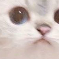 ครอบครัว