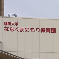 ななくまのもり保育園 ひつじ組
