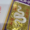 たぁ散歩