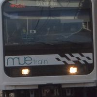 毎日スジ公開