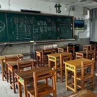 獨一無二の小樹們🌱
