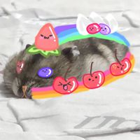 蛋糕邪教