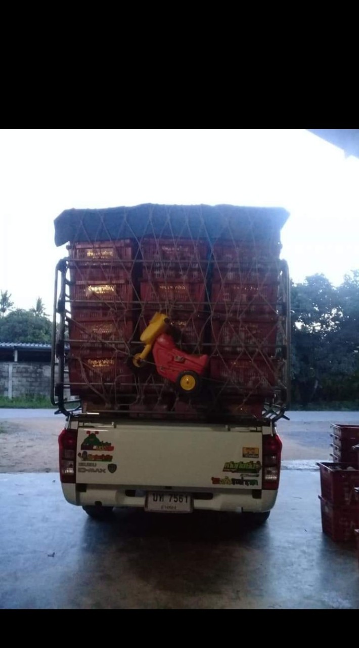 peektar19