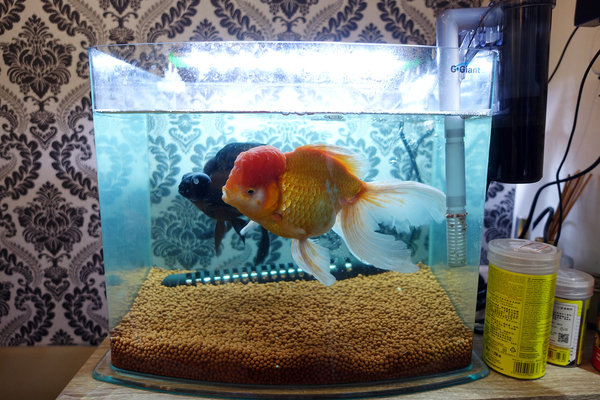 林口床墊-床大師，林口床墊工廠直營，30天鑑賞期、10年保用，德國優客/美國伊麗絲名牌床墊特惠，現場展示品出清4.5折，年終慶多重送