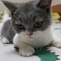 羊の百貨母嬰生活用品