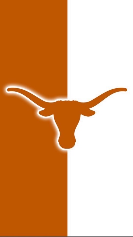 UT Austin 2024 Fall 群