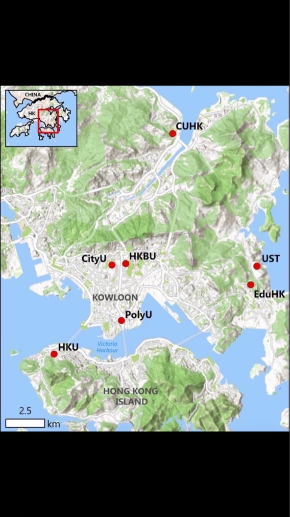 Hongkong Top University