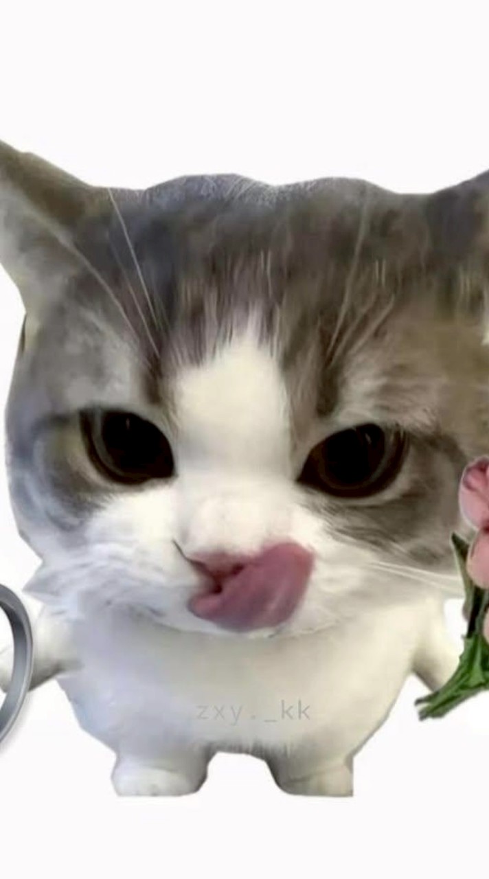 三次元夢女聚集地💍💕