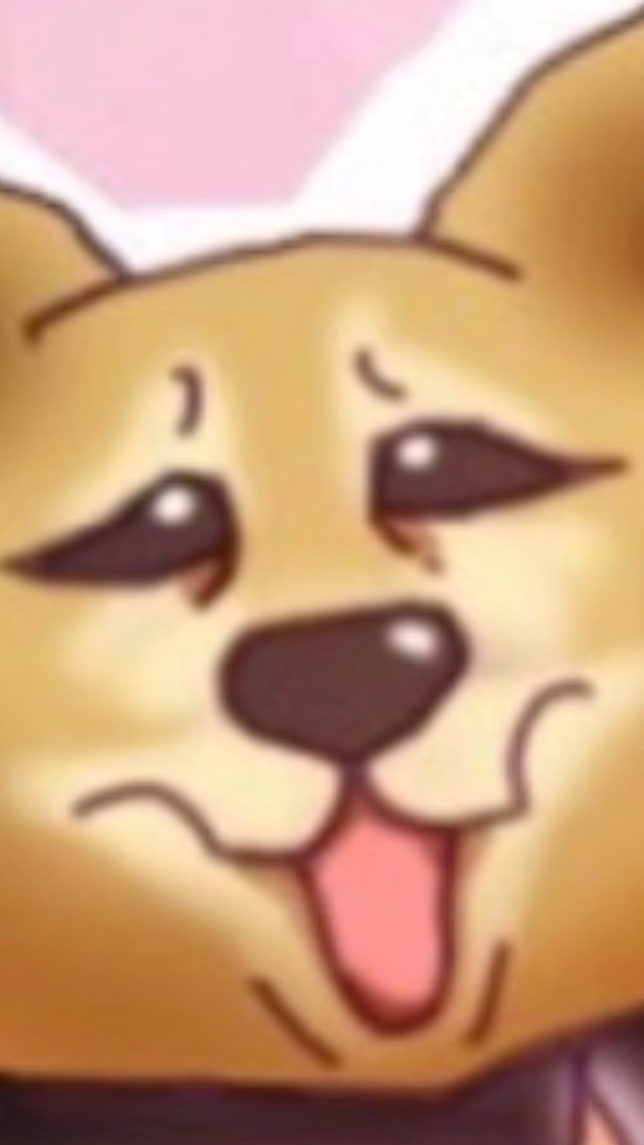 ポケカイッヌ小屋🐕🥕