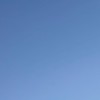 札幌シール情報！