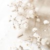 心和屋 手相鑑定