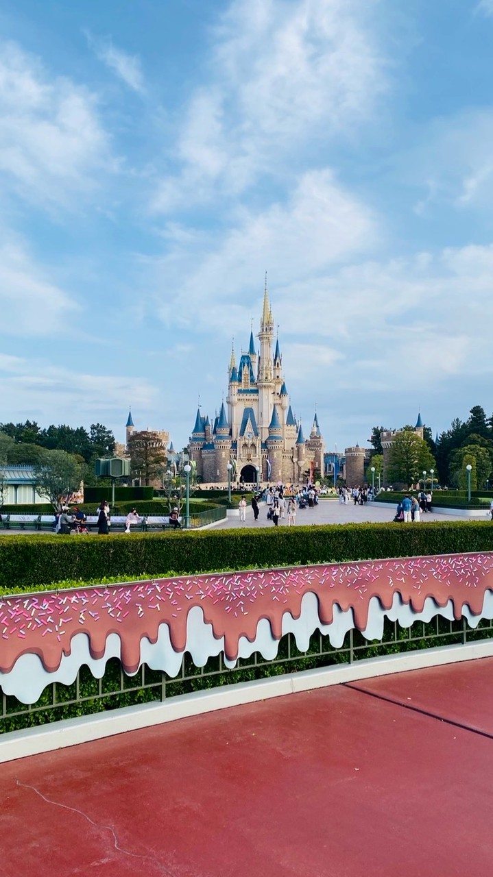 1人ディズニー派です