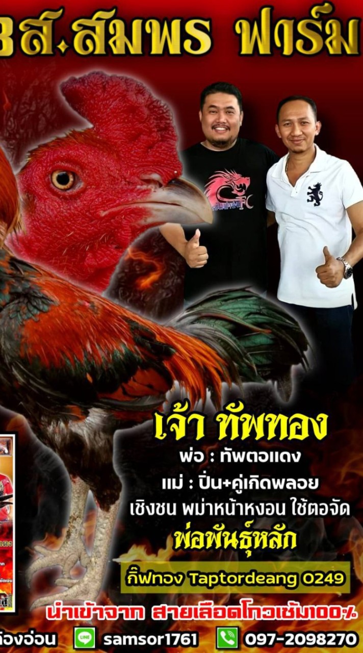สมพร ฟาร์ม พม่าแข้งลึก