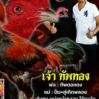 สมพร ฟาร์ม พม่าแข้งลึก