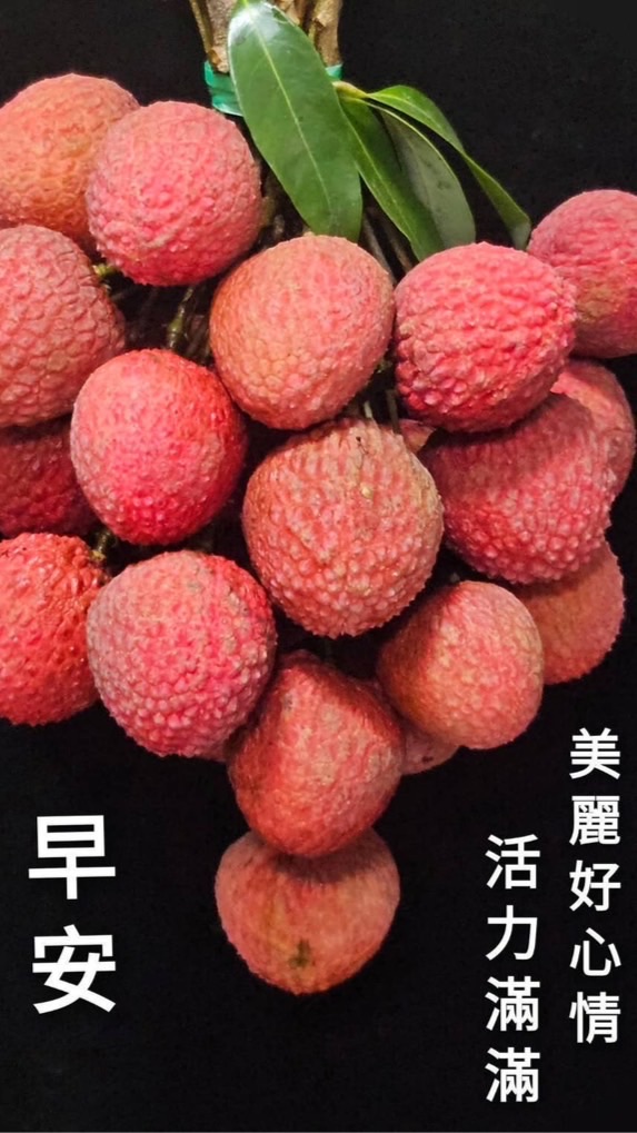永遠的五年七班(28)
