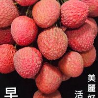 永遠的五年七班(28)