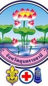 สารสนเทศลูกเสือ ยุวกาชาด อุบลราชธานี