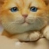 再建　思春期の画像・動画交換の