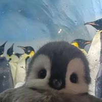 นิยายกับฟิคทุกแนว
