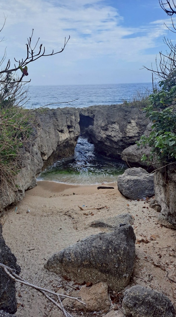 非你莫屬