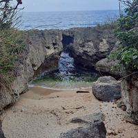 非你莫屬