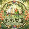 啾啾樂園鸚鵡用品店🦜
