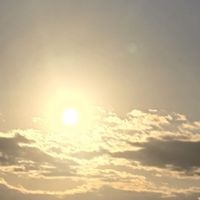 うちのあいりと盛り上げ隊(活動報告)