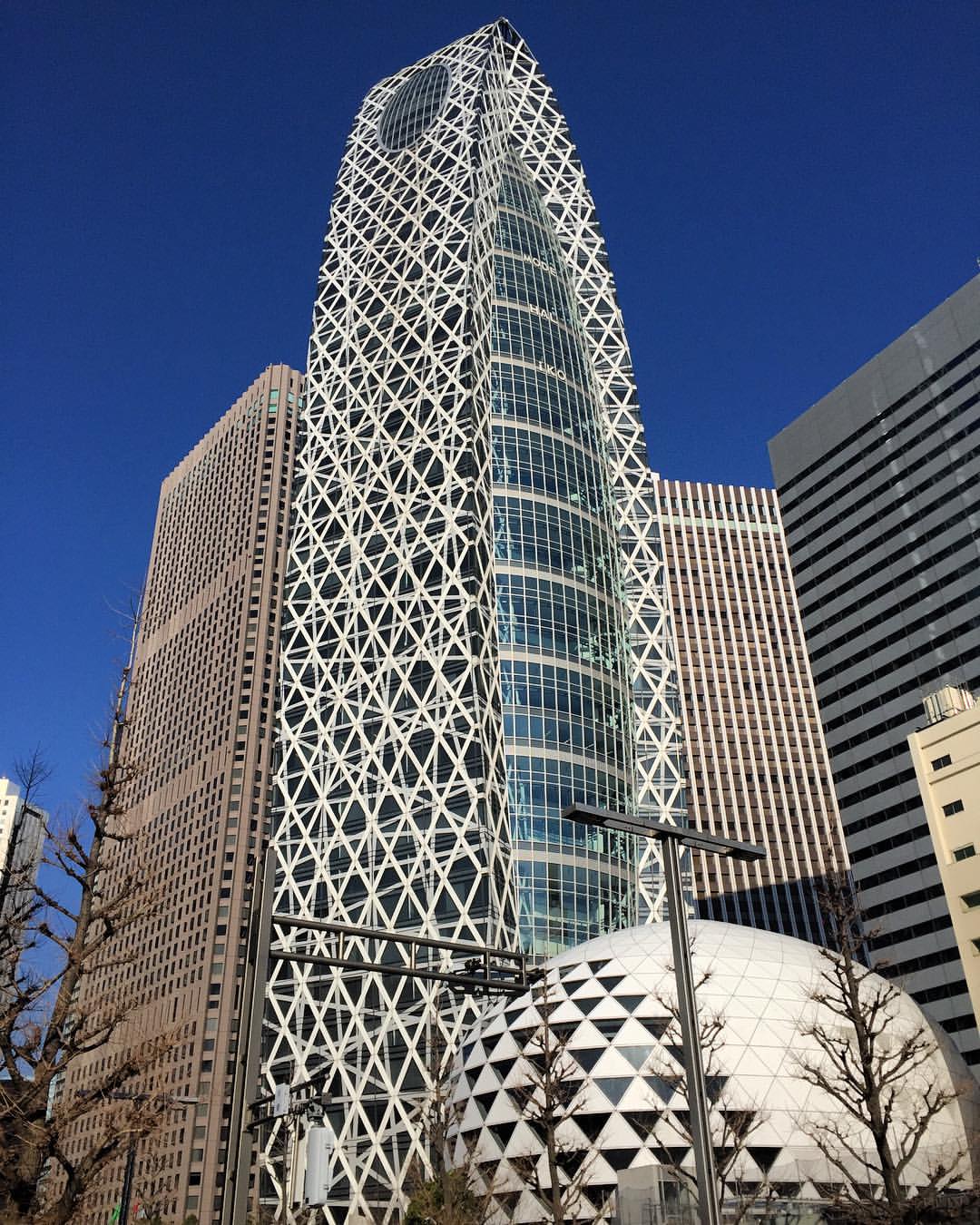 56178972 313688932884317 1476967857127512828 N