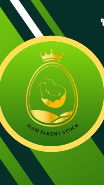 Report SIAM PARENT STOCK