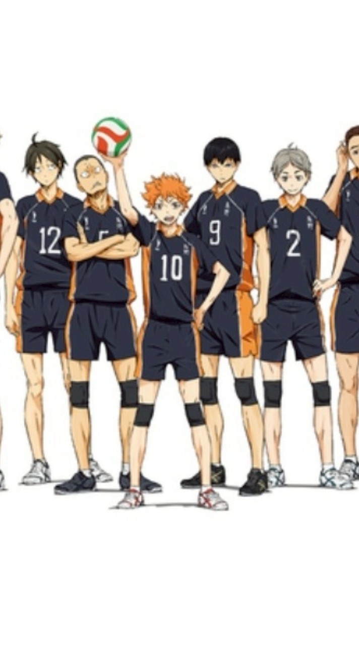 ハイキュー！！好きな人カモン！