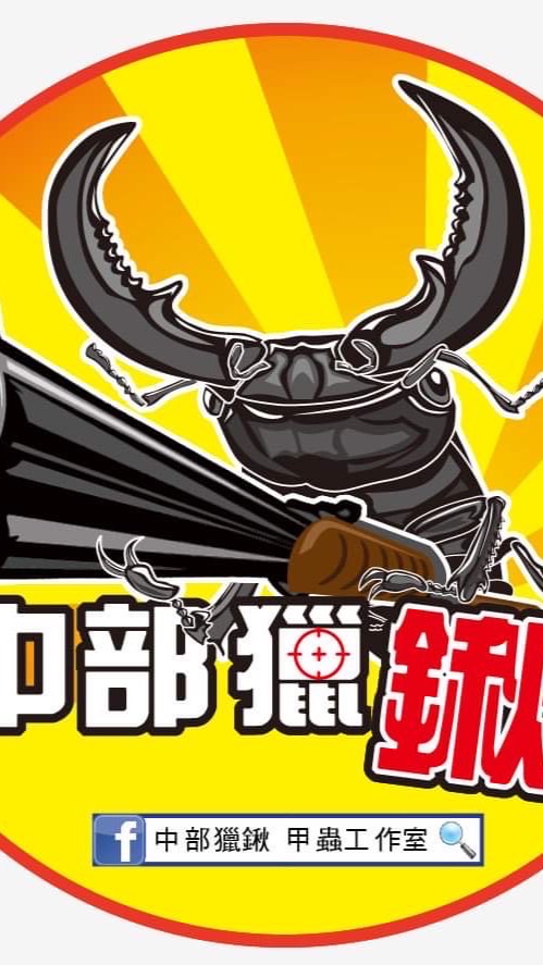 中部獵鍬 BEETLE交易所