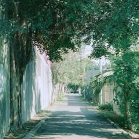 隱幕之界